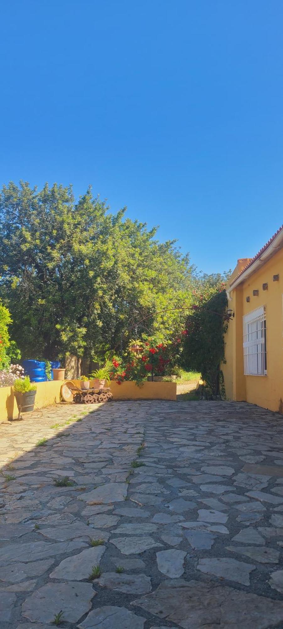 Vila La Alqueria San Martín Exteriér fotografie